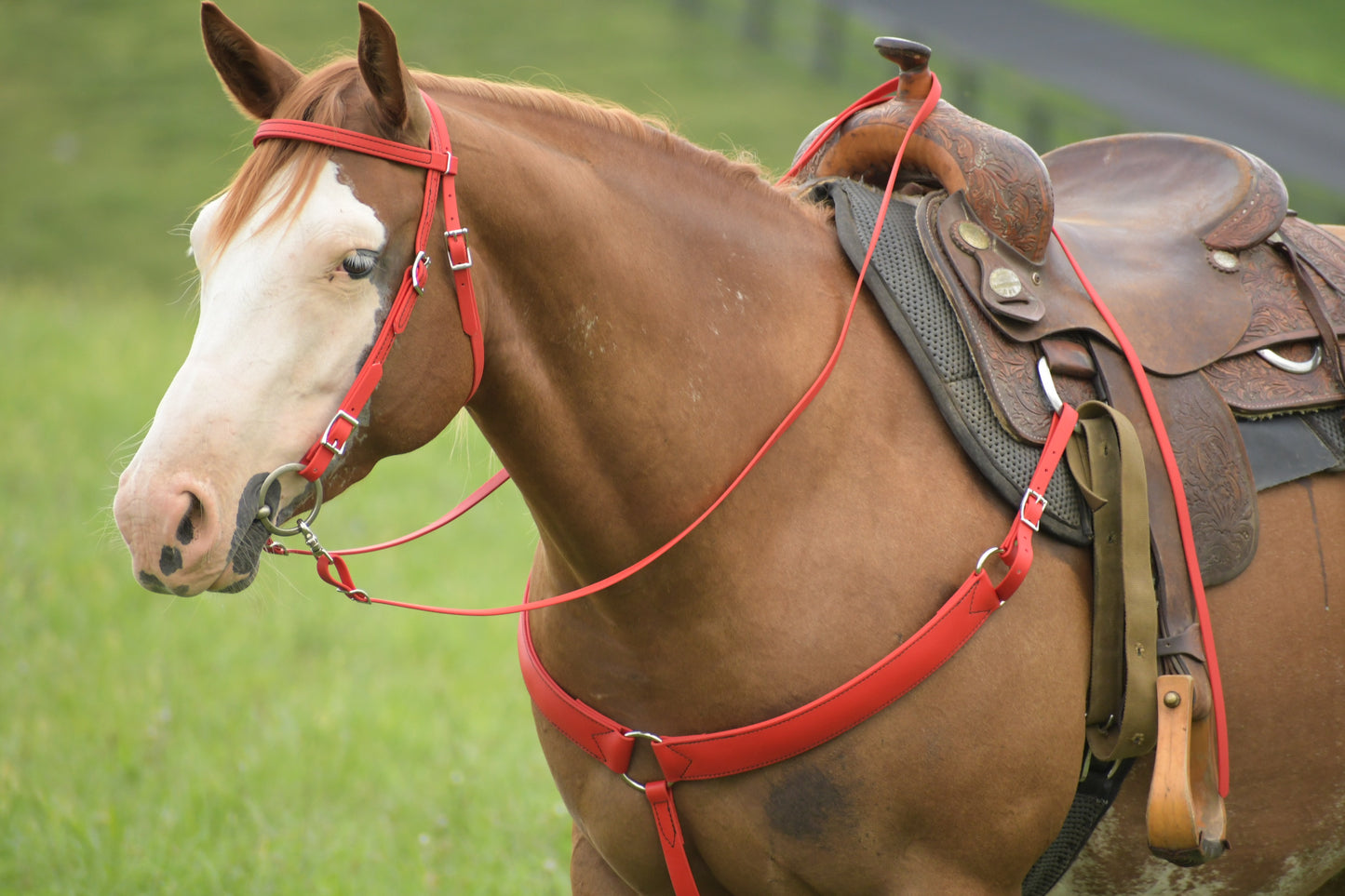 Western Red Bridle
