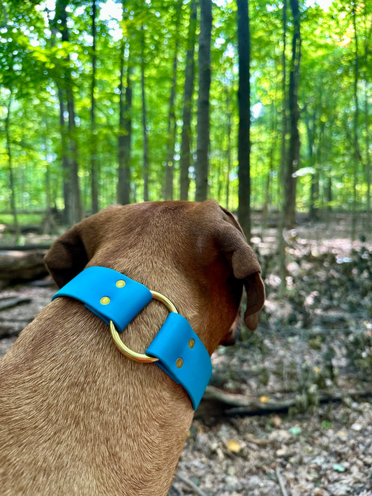 Beta BioThane Hunt Collar