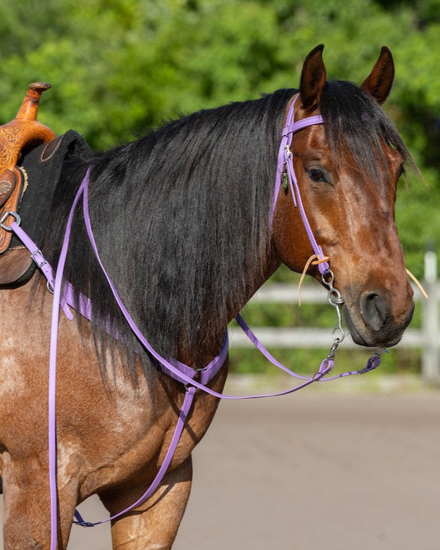 Western Bridles