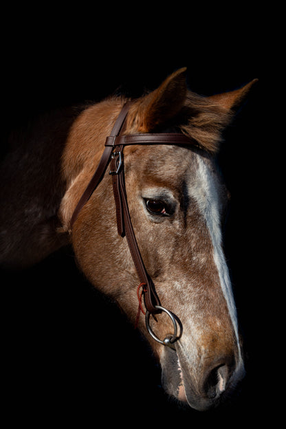 Western Brown (Dark) Bridle