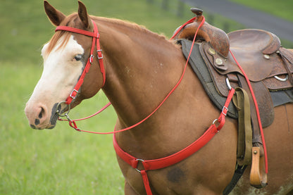 Western Red Bridle