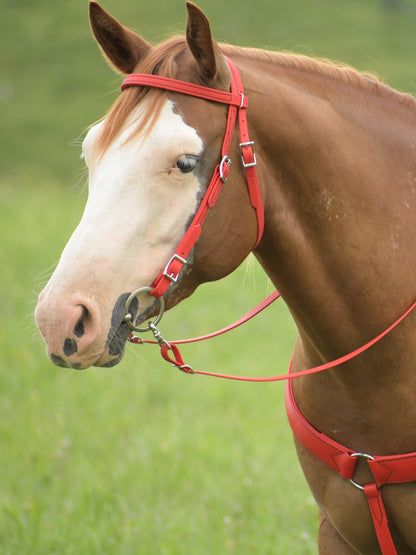 Western Red Bridle