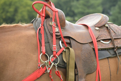 Western Red Bridle