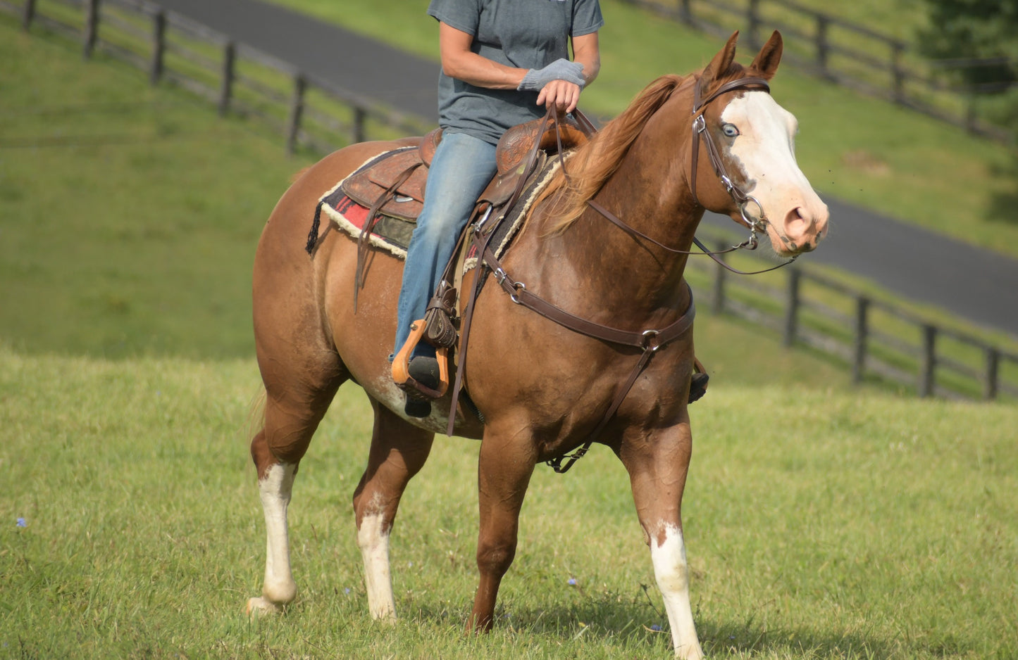 Western Brown (Dark) Bridle