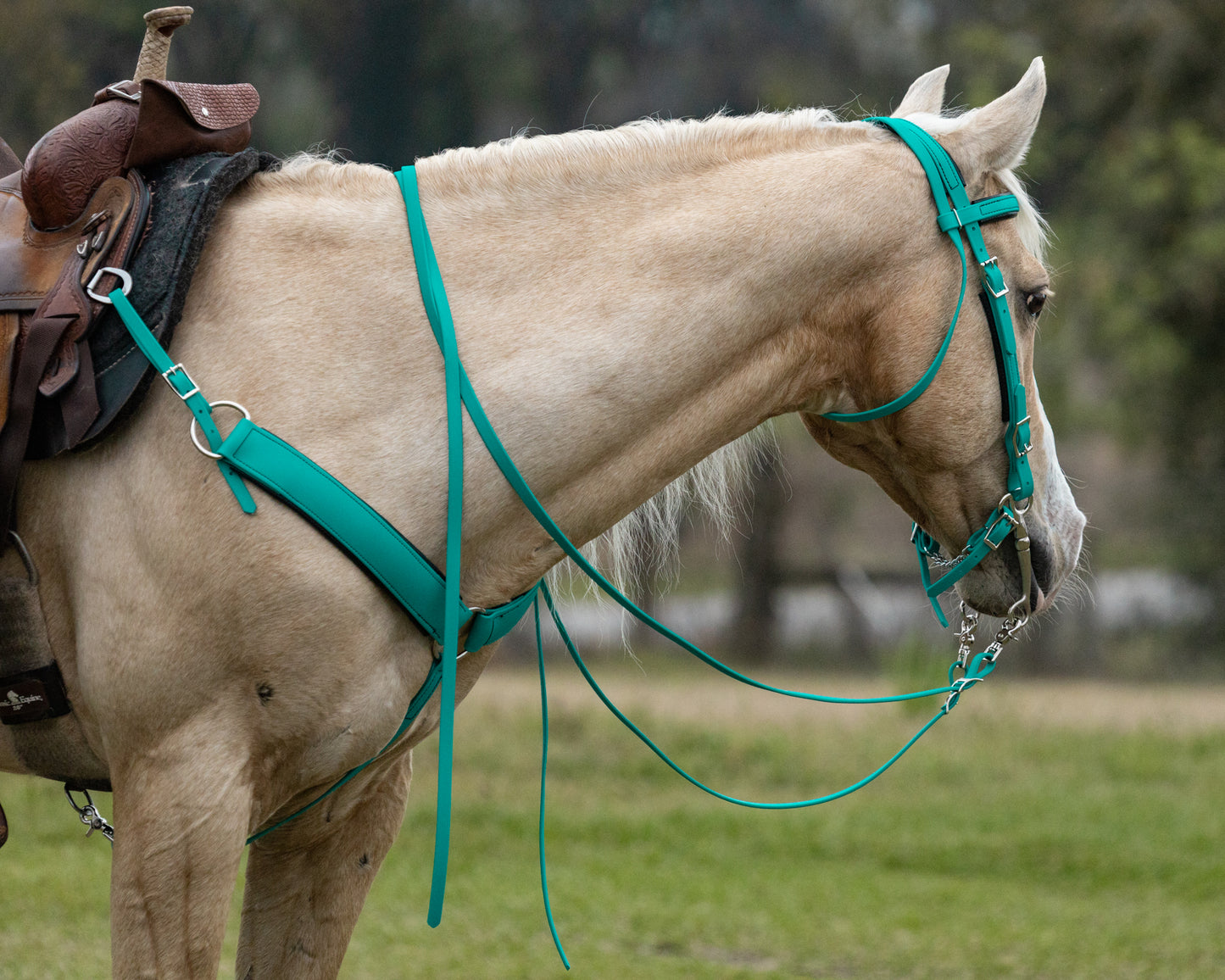 Western Turquoise Bridle