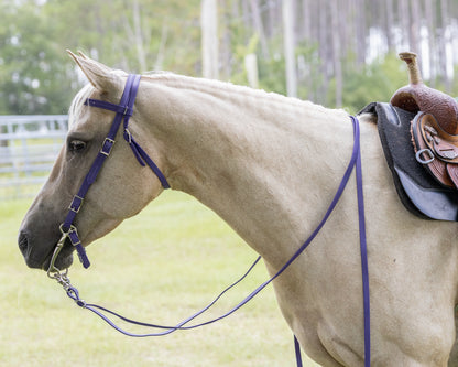 Western Purple Bridle