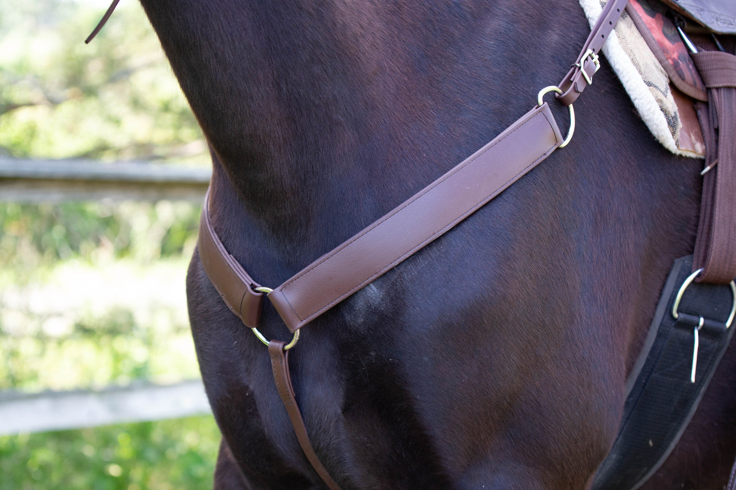 Western Brown (Dark) Bridle