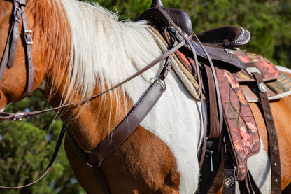 Western Brown (Dark) Bridle