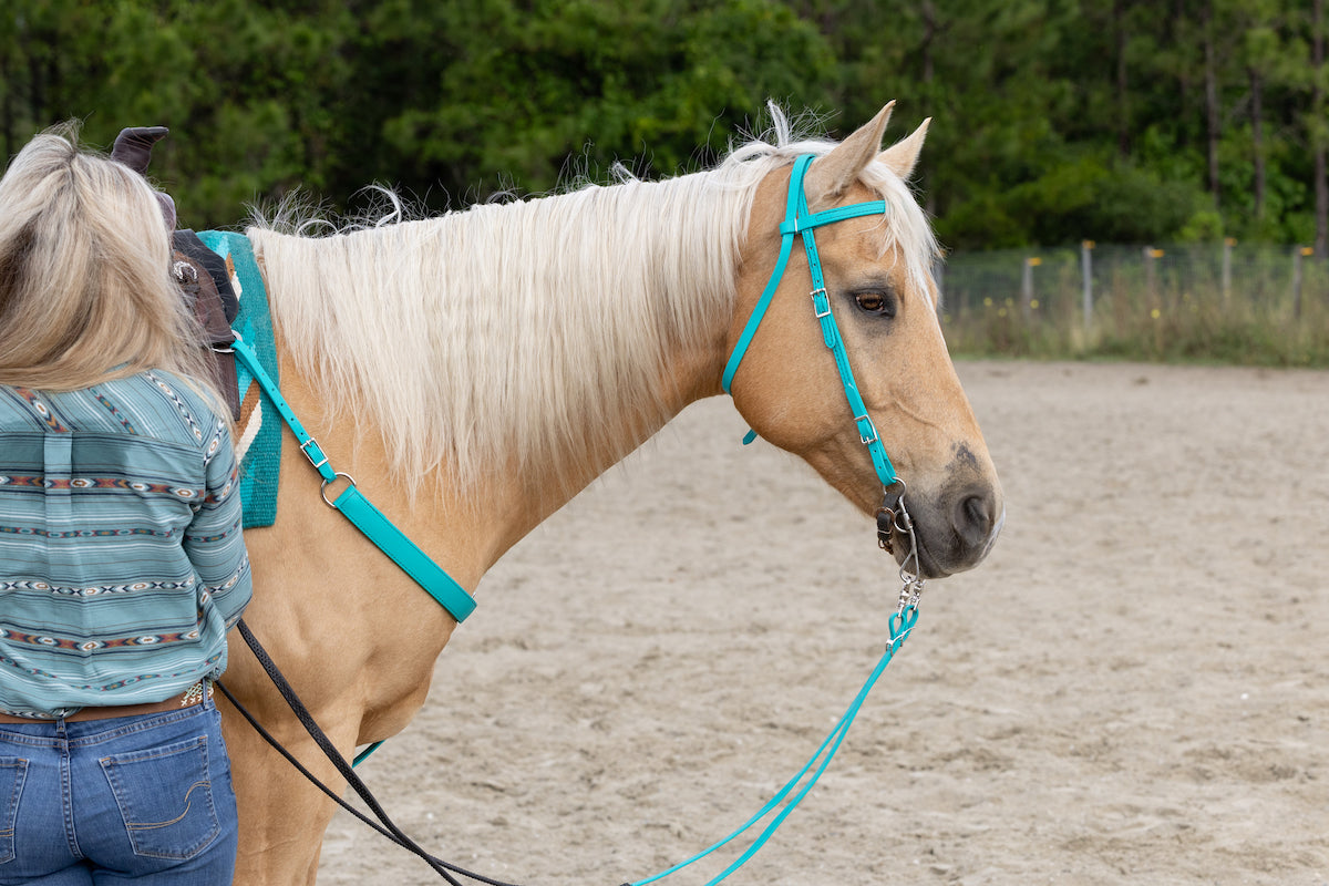 Western Turquoise Bridle
