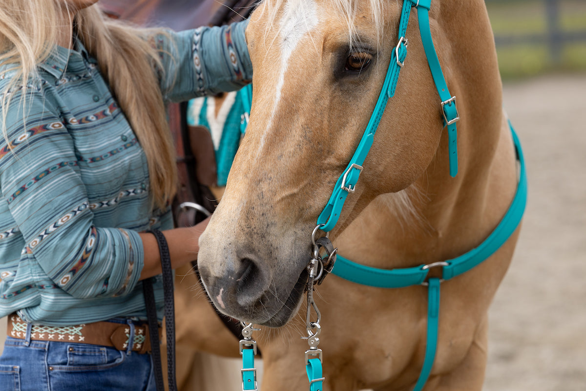 Western Turquoise Bridle