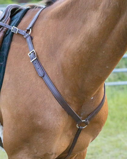English Brown (Dark) Bridle