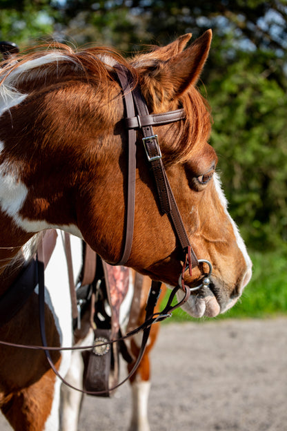 Western Brown (Dark) Bridle