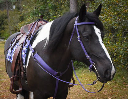 Western Purple Bridle