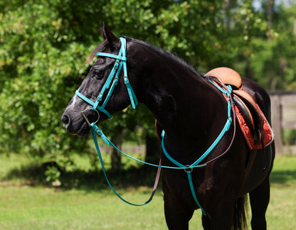 English Turquoise Bridle