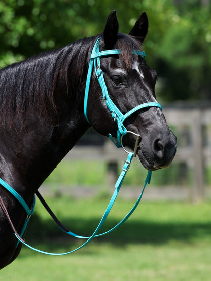 English Turquoise Bridle