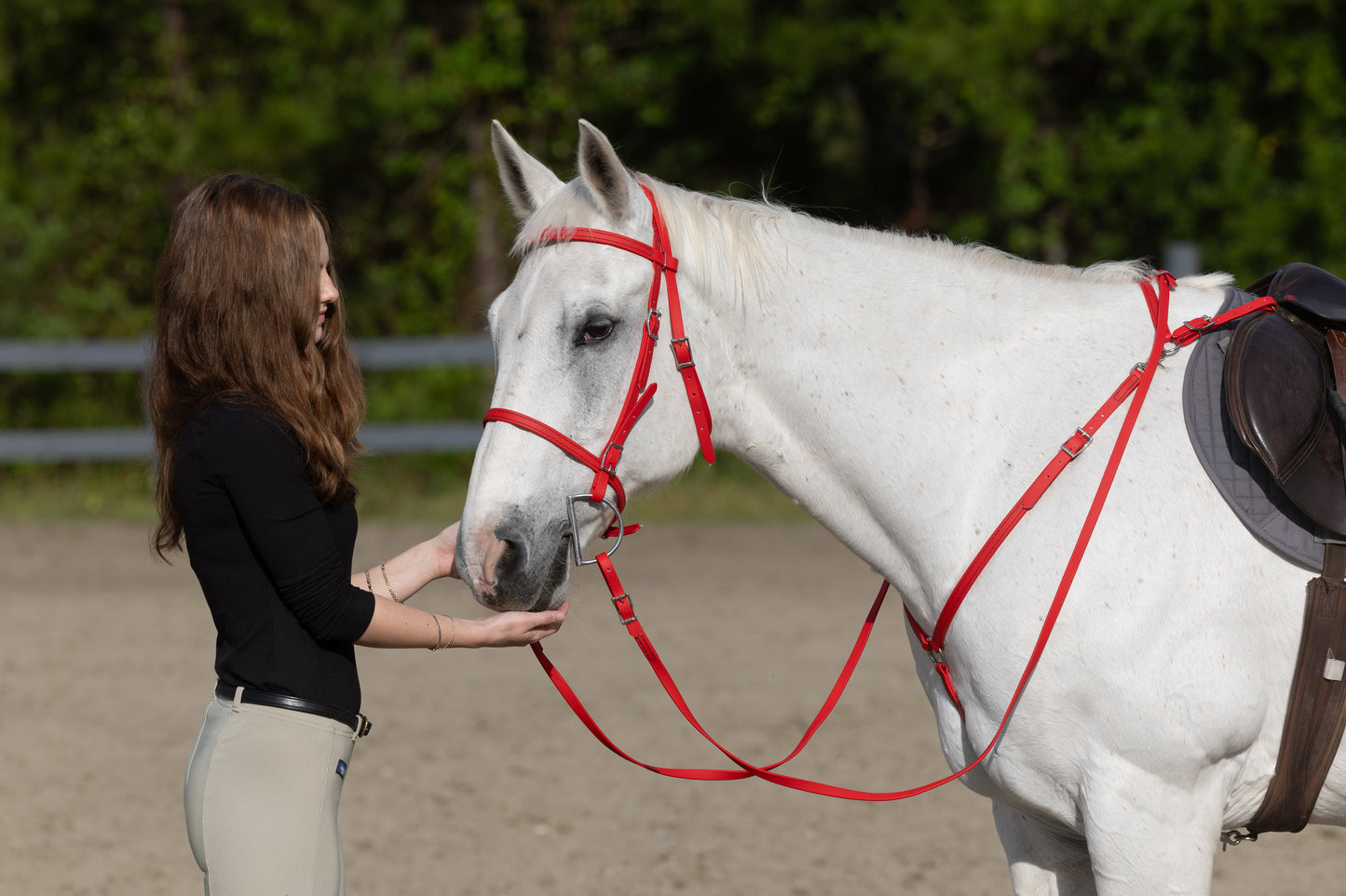English Red Bridle