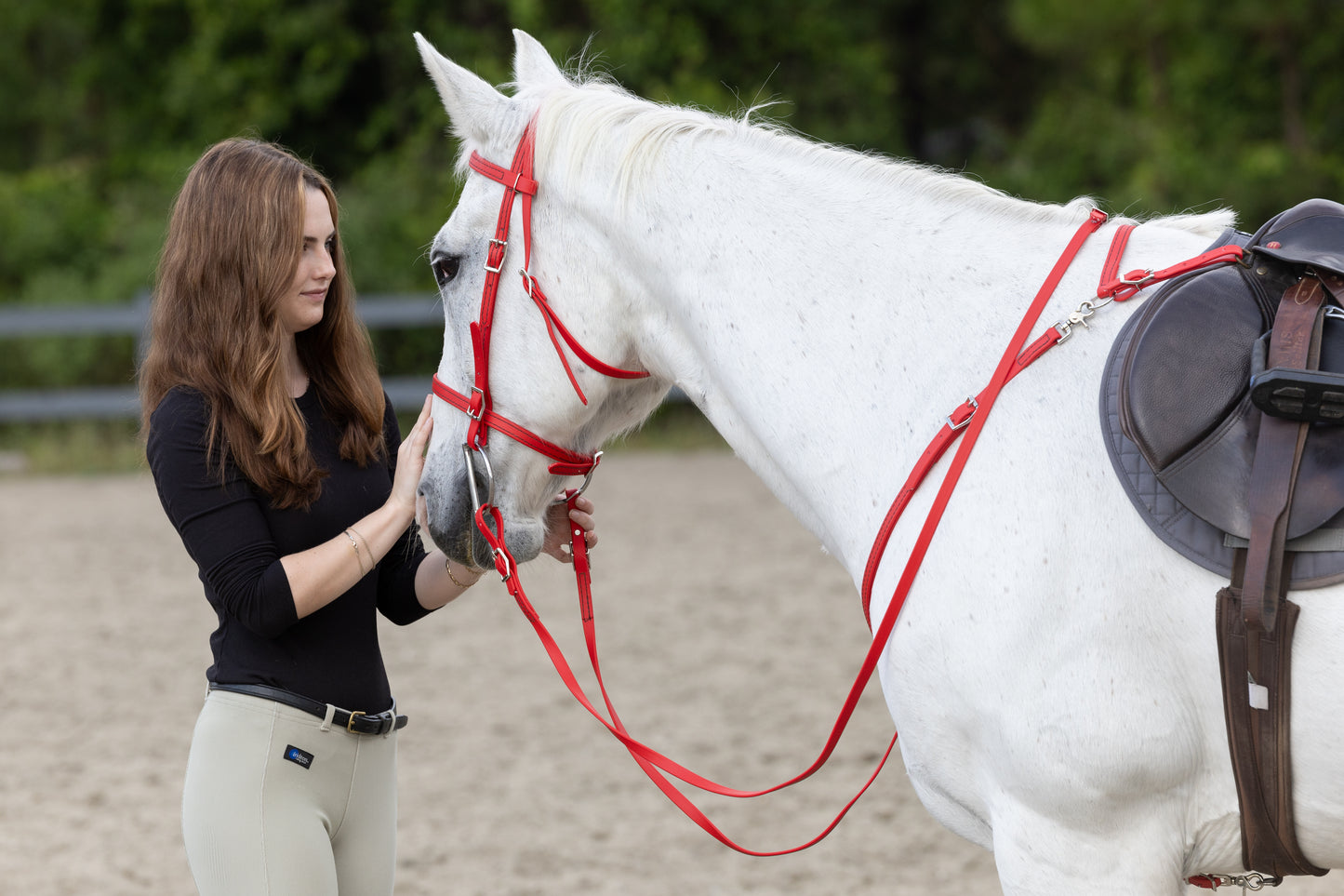 English Red Bridle