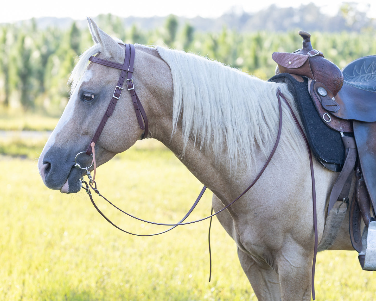 Western Brown (Mahogany) Bridle