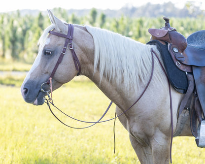 Western Brown (Mahogany) Bridle