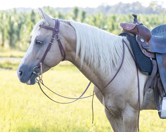 Western Brown (Mahogany) Bridle