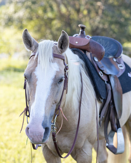 Western Brown (Mahogany) Bridle