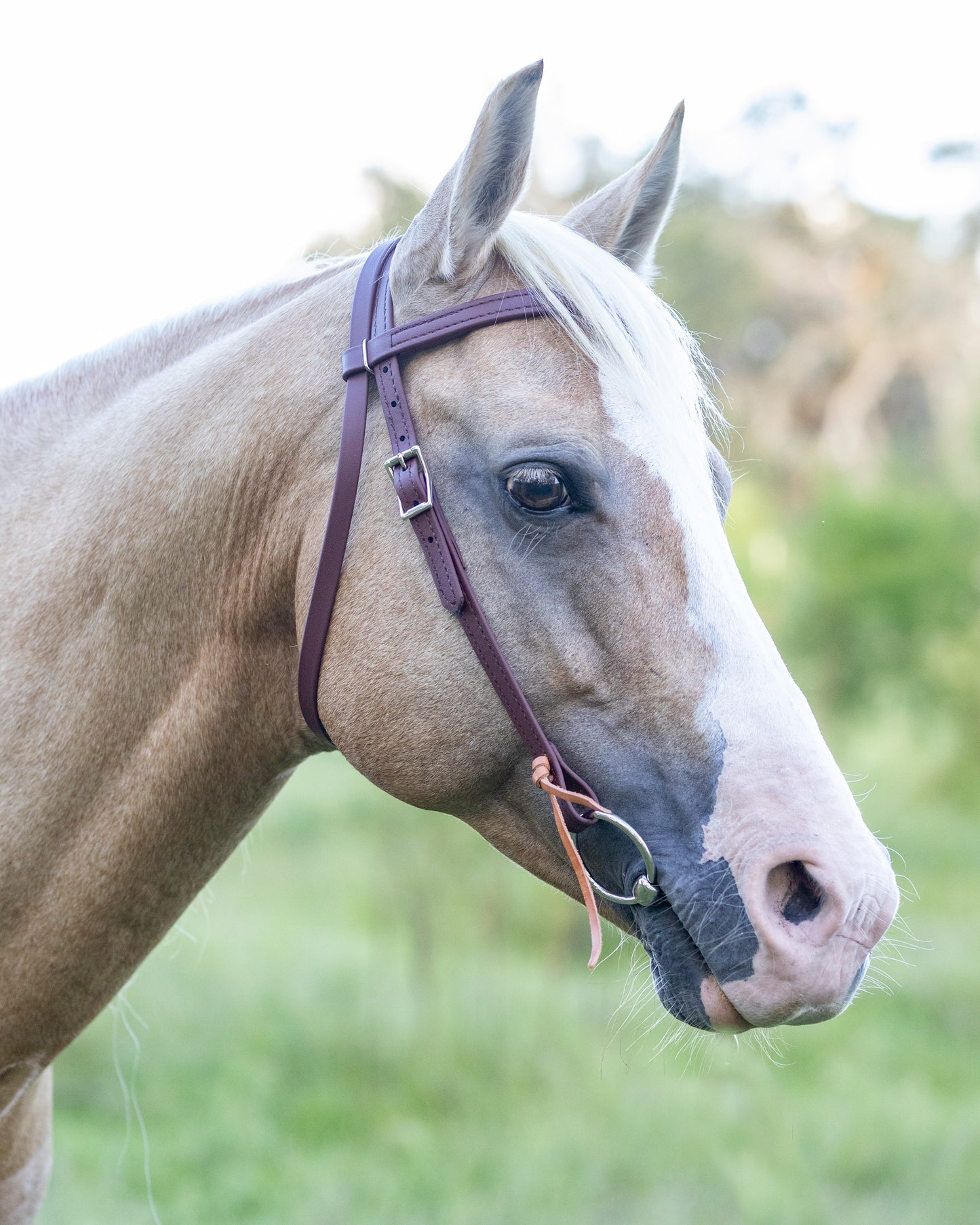 Western Brown (Mahogany) Bridle