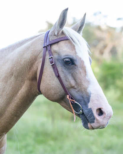 Western Brown (Mahogany) Bridle