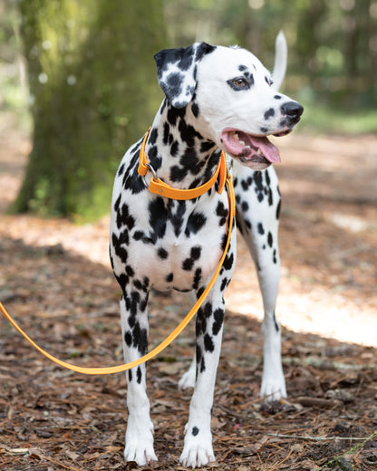 Beta BioThane Center Ring Collar