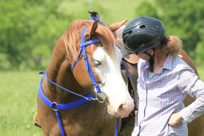 Western Blue (Royal) Bridle
