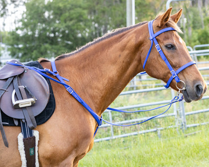 English Blue (Royal) Bridle