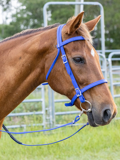English Blue (Royal) Bridle