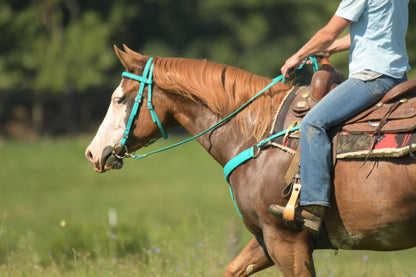 Western Turquoise Bridle