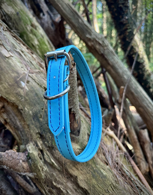 Beta BioThane Standard Collar with Colored Stitching