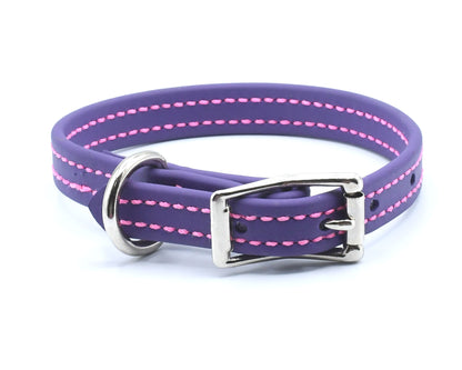 Beta BioThane Standard Collar with Colored Stitching