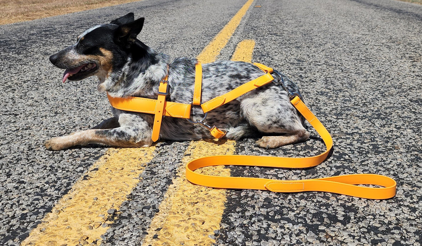 Beta BioThane Roading Harness