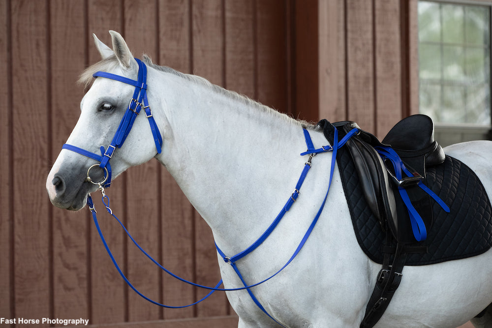 English Blue (Royal) Bridle
