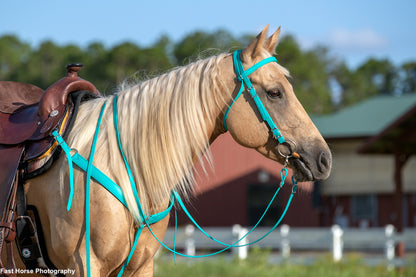 Western Turquoise Bridle