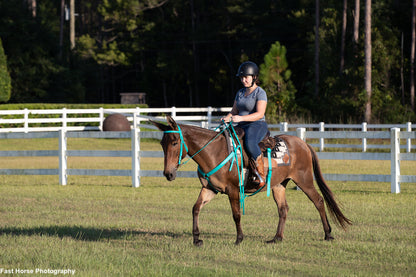 Western Turquoise Bridle