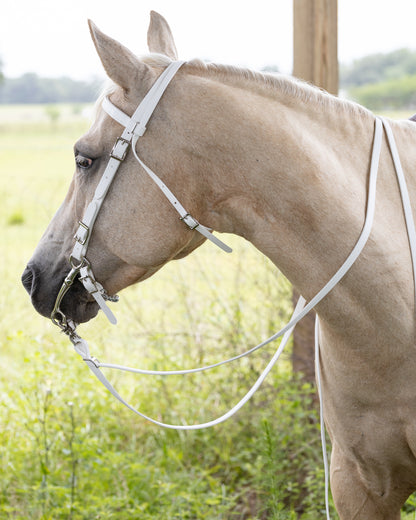 Western White Bridle