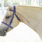Purple English Bridle