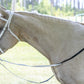 White English Bridle