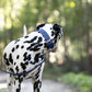 Navy Blue Wide Dog Collar