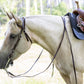 Brown Western Bridle