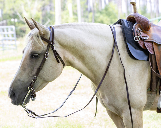 Brown Western Bridle