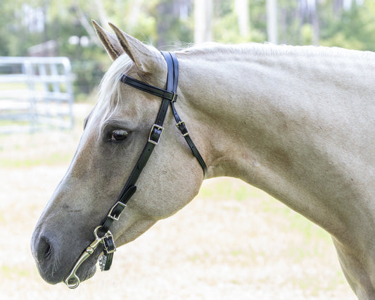 Black Western Bridle