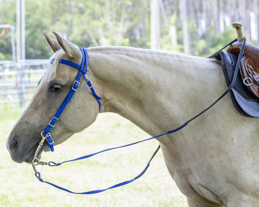 Blue Western Bridle