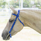 Blue Western Bridle