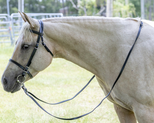 Black English Bridle