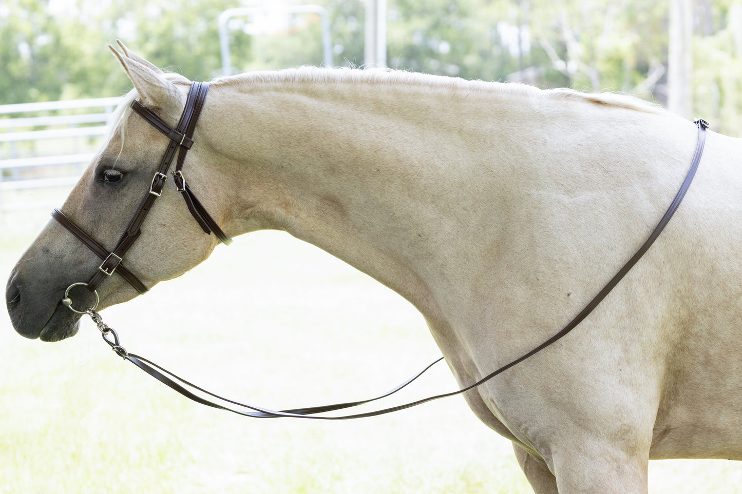 Brown English Bridle