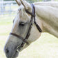 Brown English Bridle
